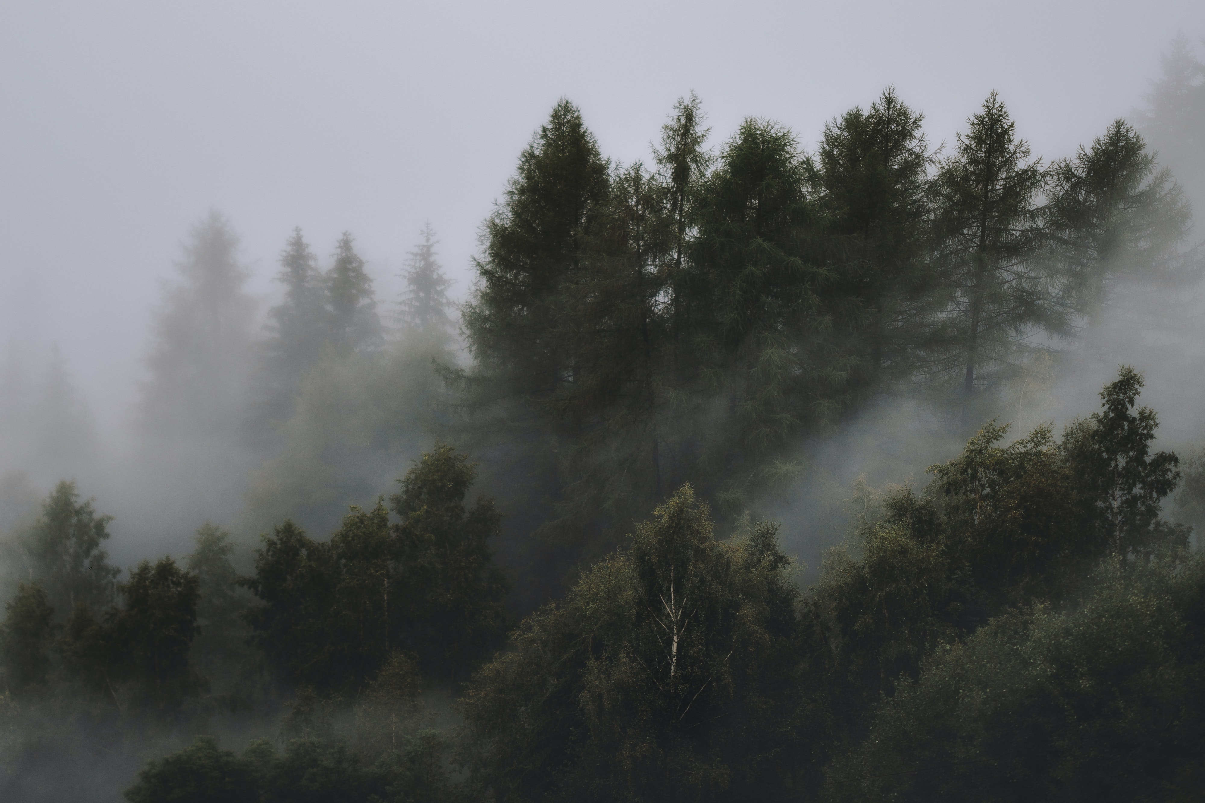 nature